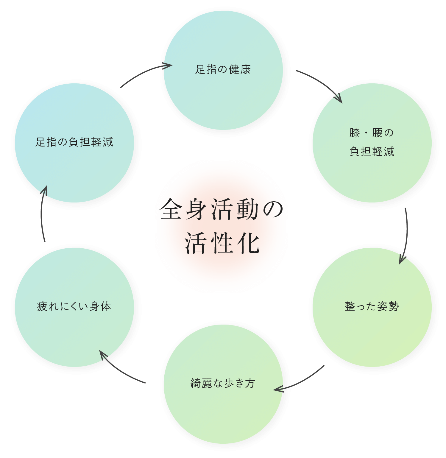 全身活動の活性化（循環図）