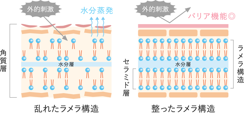 乱れたラメラ構造と整ったラメラ構造の図