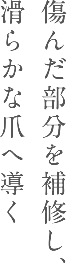 傷んだ部分を補修し、滑らかな爪へ導く