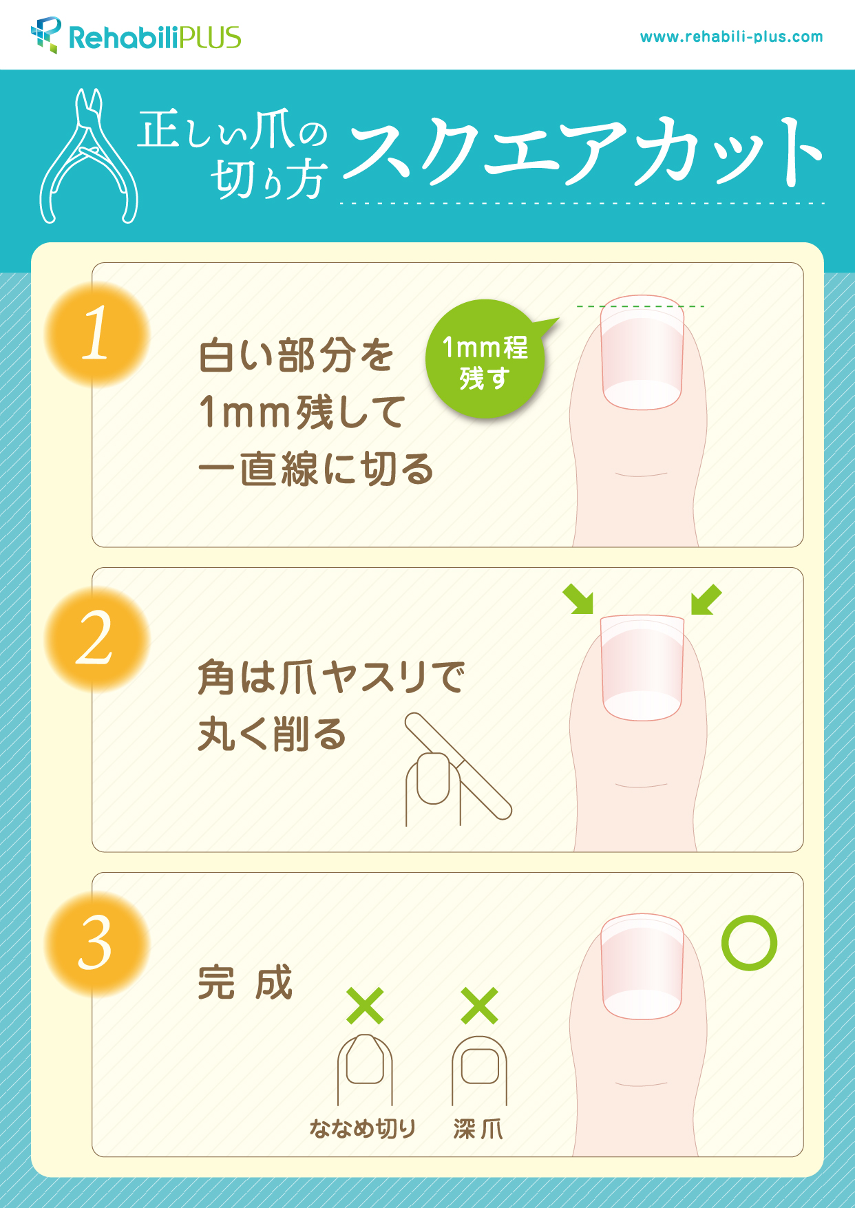正しい爪の切り方 スクエアカットのご紹介 | リハビリプラス｜大阪 堺市の訪問看護・訪問リハビリテーション
